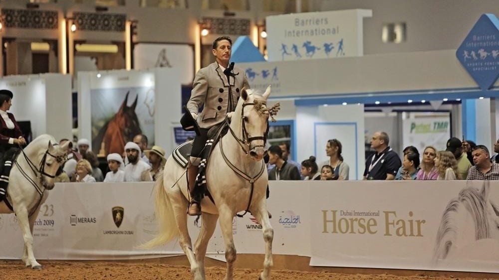 galloping into excellence dubai international horse fair