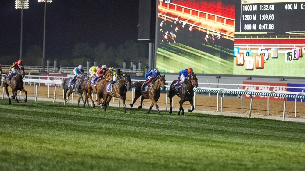 the pinnacle of equestrian excellence dubai world cup