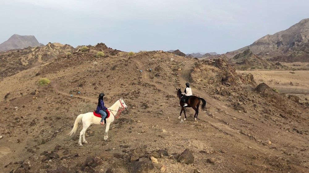 horse riding explore dubai 360